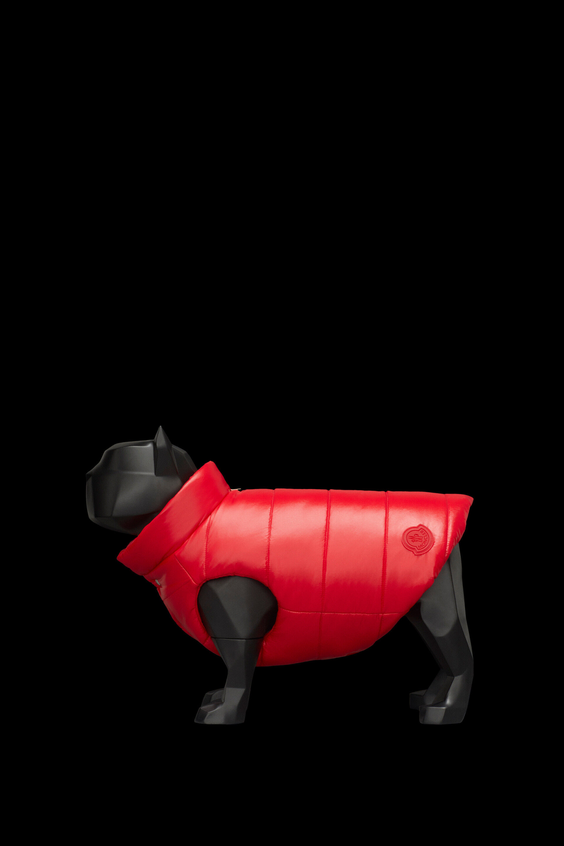 moncler french bulldog