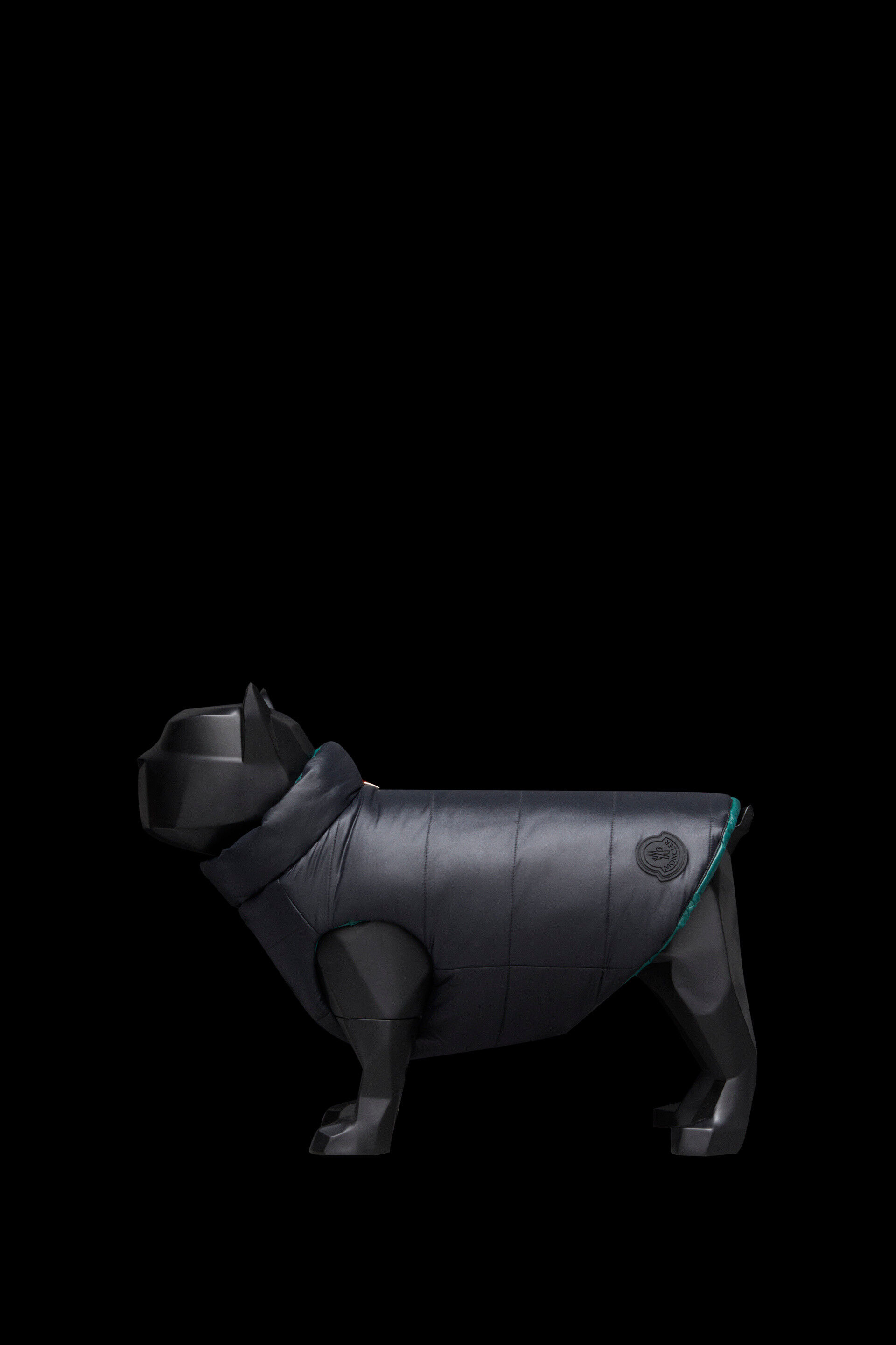 moncler french bulldog